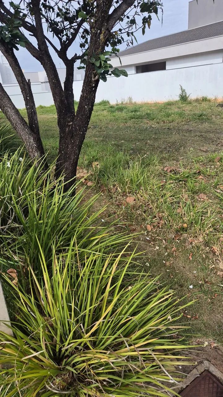 Oportunidade - Lote CYRELA Buritis - Foto 3