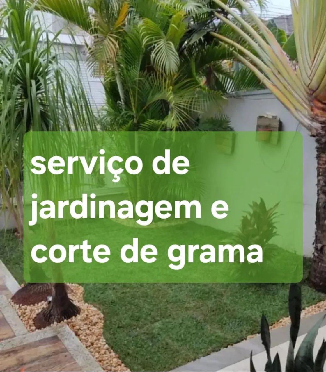 Serviço de jardinagem e paisagismo  - Foto 3
