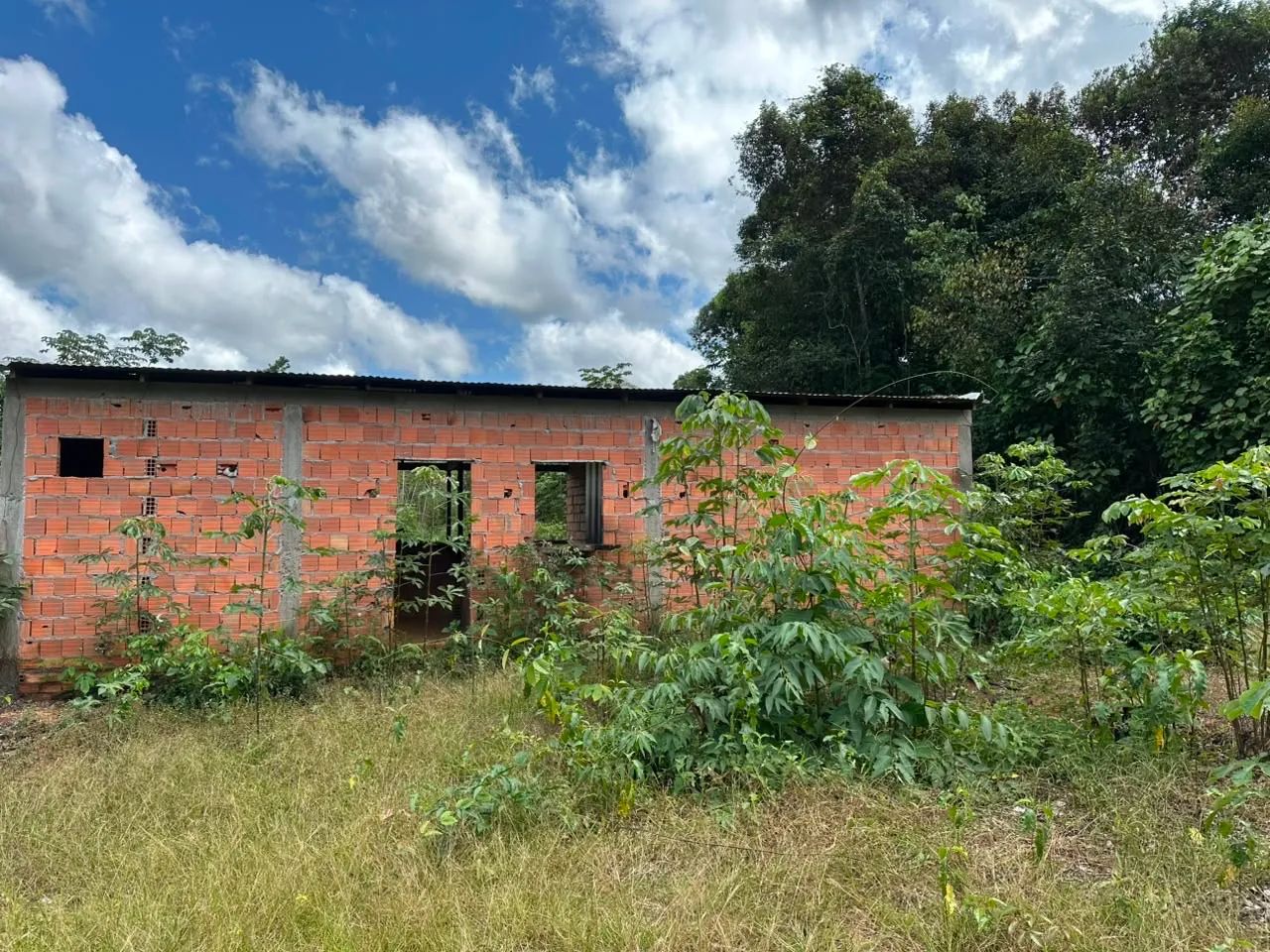 Vendo Sítio com Igarapé  - Foto 3