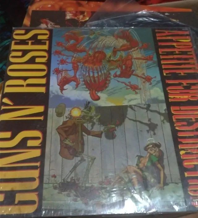 Disco de vinil - Guns 'n Roses