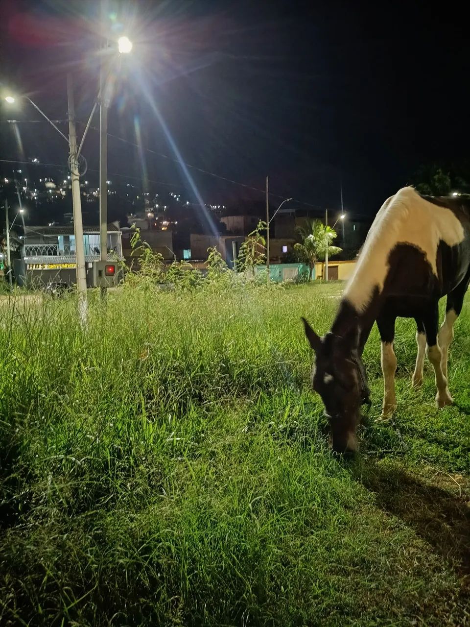 Oportunidade  - Foto 5