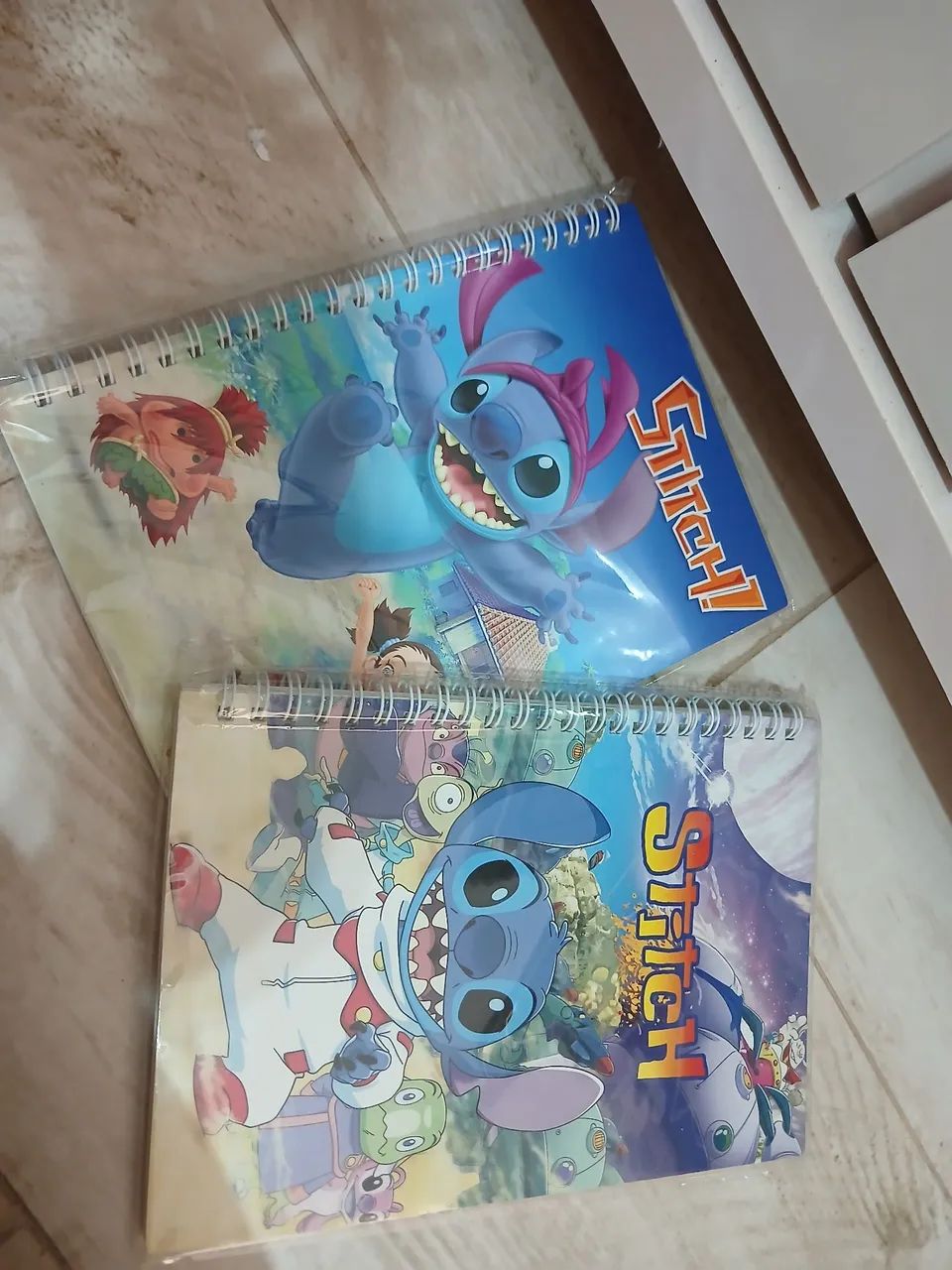 Dois cadernos pequenos 