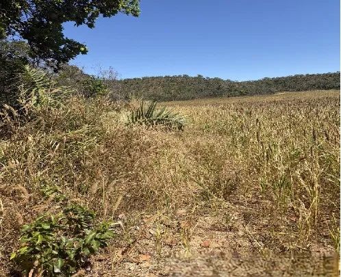 Imóvel em leilão - Foto 2