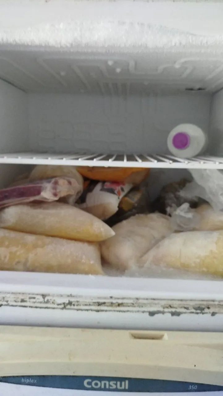 Frutas do Norte. - Foto 3