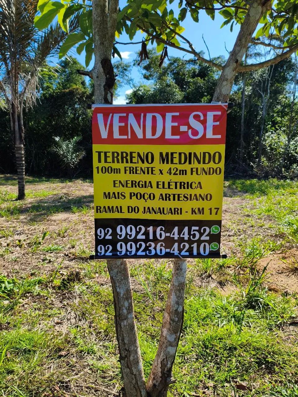 TERRENO 100M x 42M - Foto 2