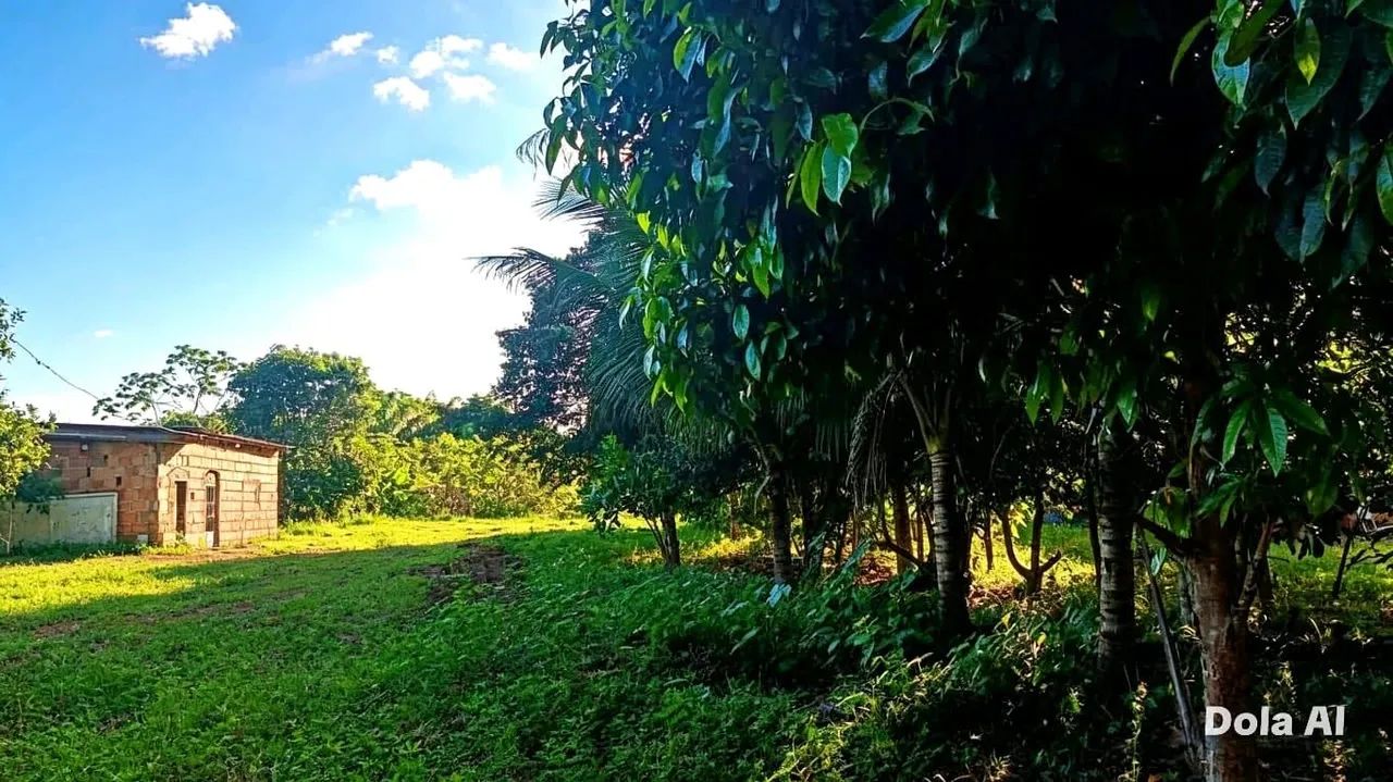 Sitio Em Acutuba 