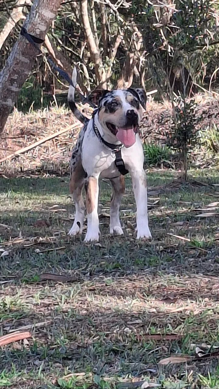 Doação conciente - Foto 3