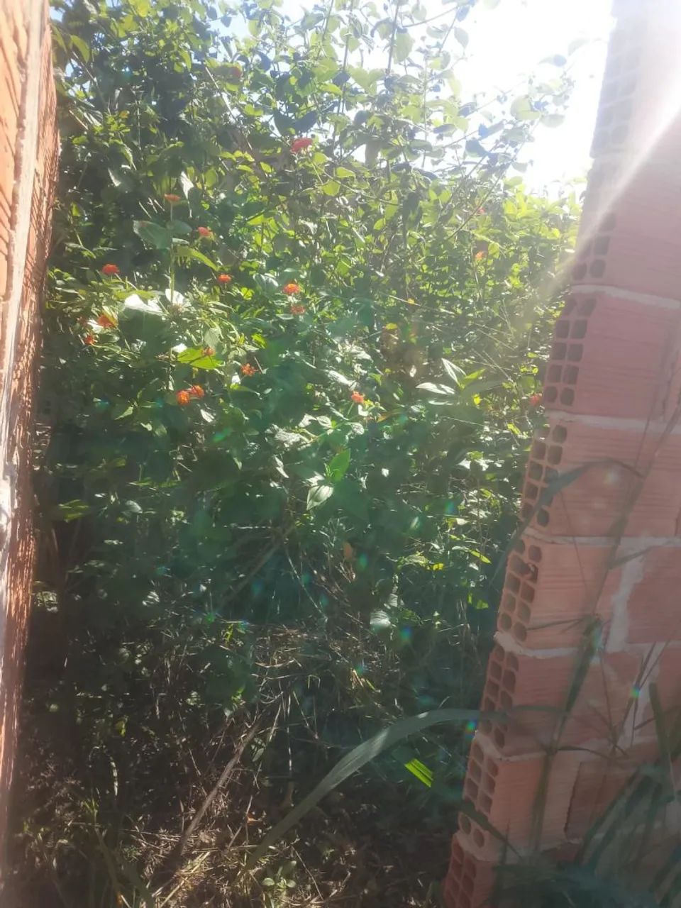 Terreno com meia água construida - Foto 3