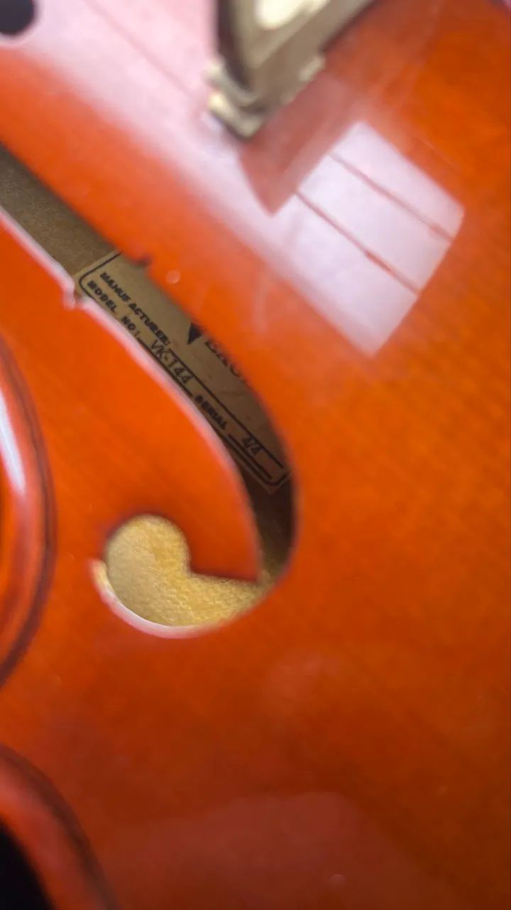Violino Eagle VE-144 4/4 Com Case - Foto 5