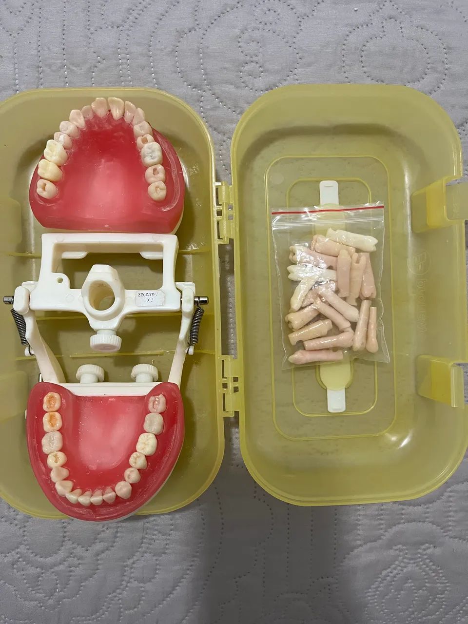 Manequim Dentística e Materiais Odontológicos PD101 - Pronew - Foto 2