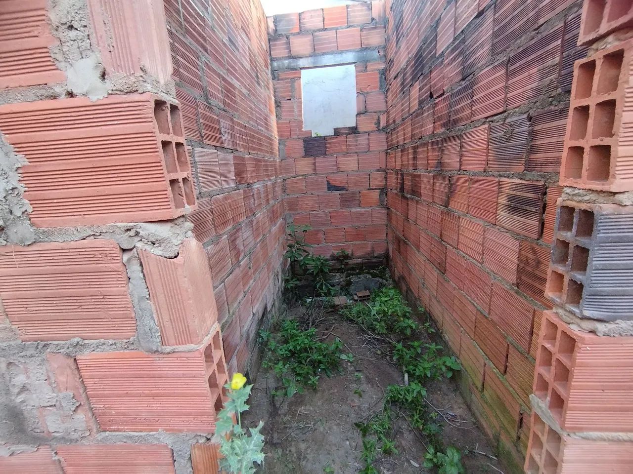 Casa quase no ponto do madeiramento - Foto 5