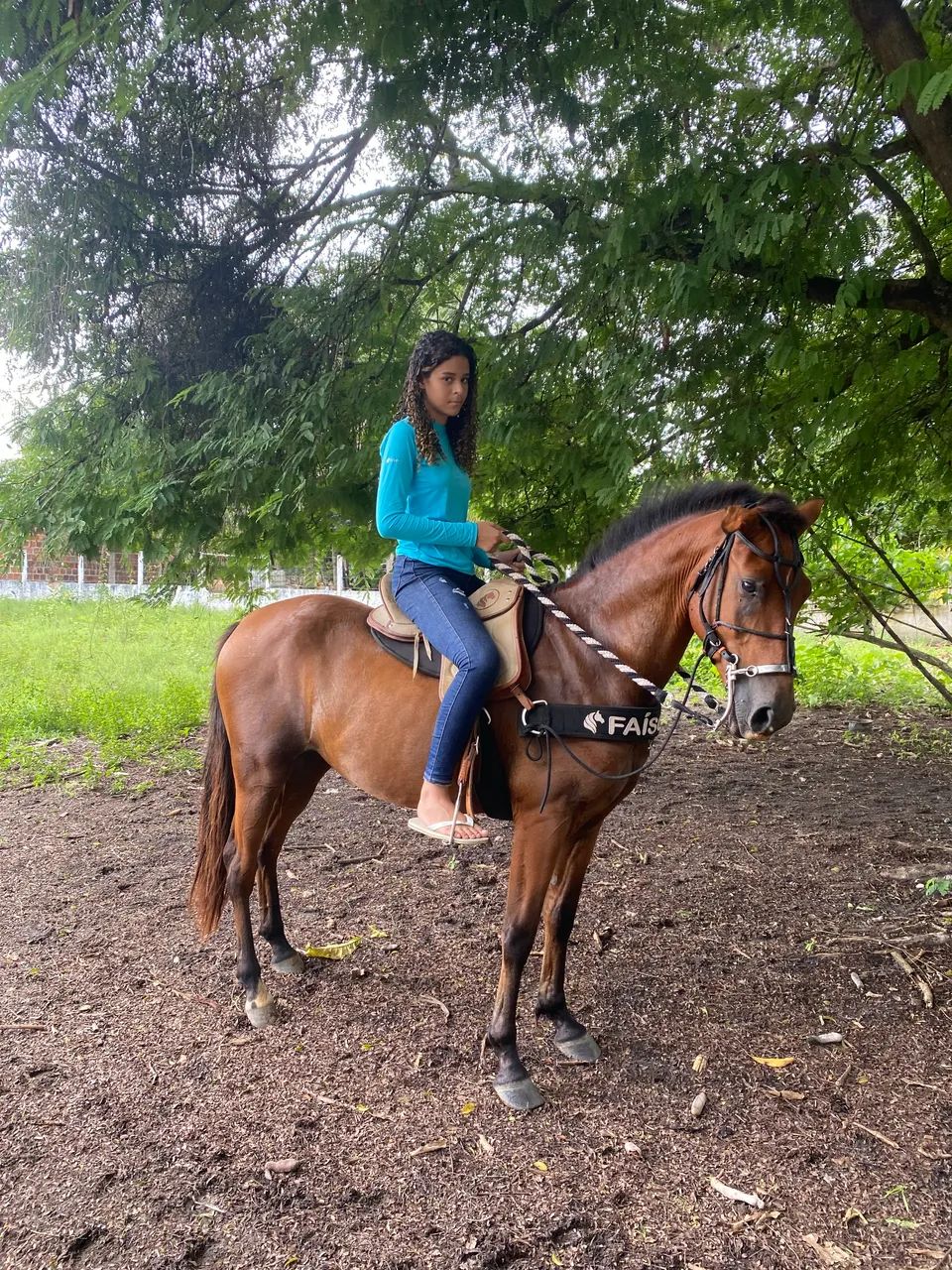 Cavalo a venda - Foto 4
