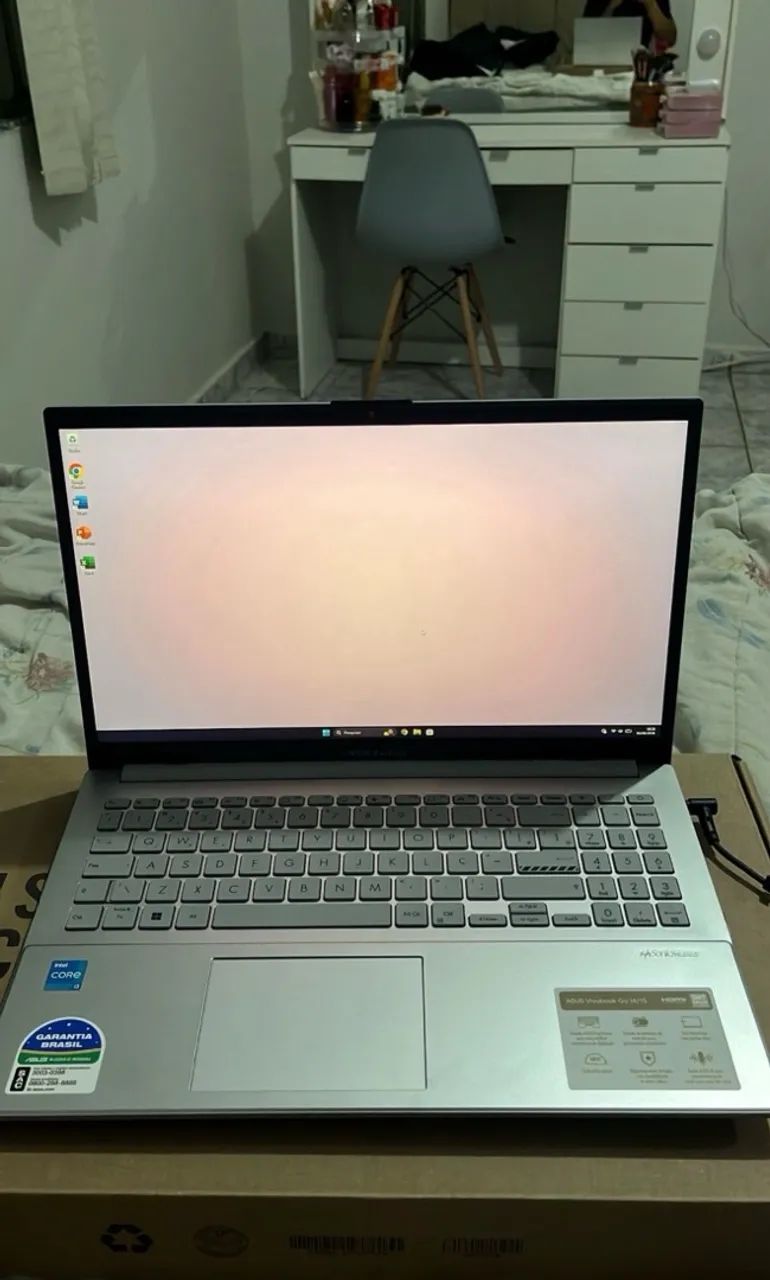 Notebook ASUS vivobook Go