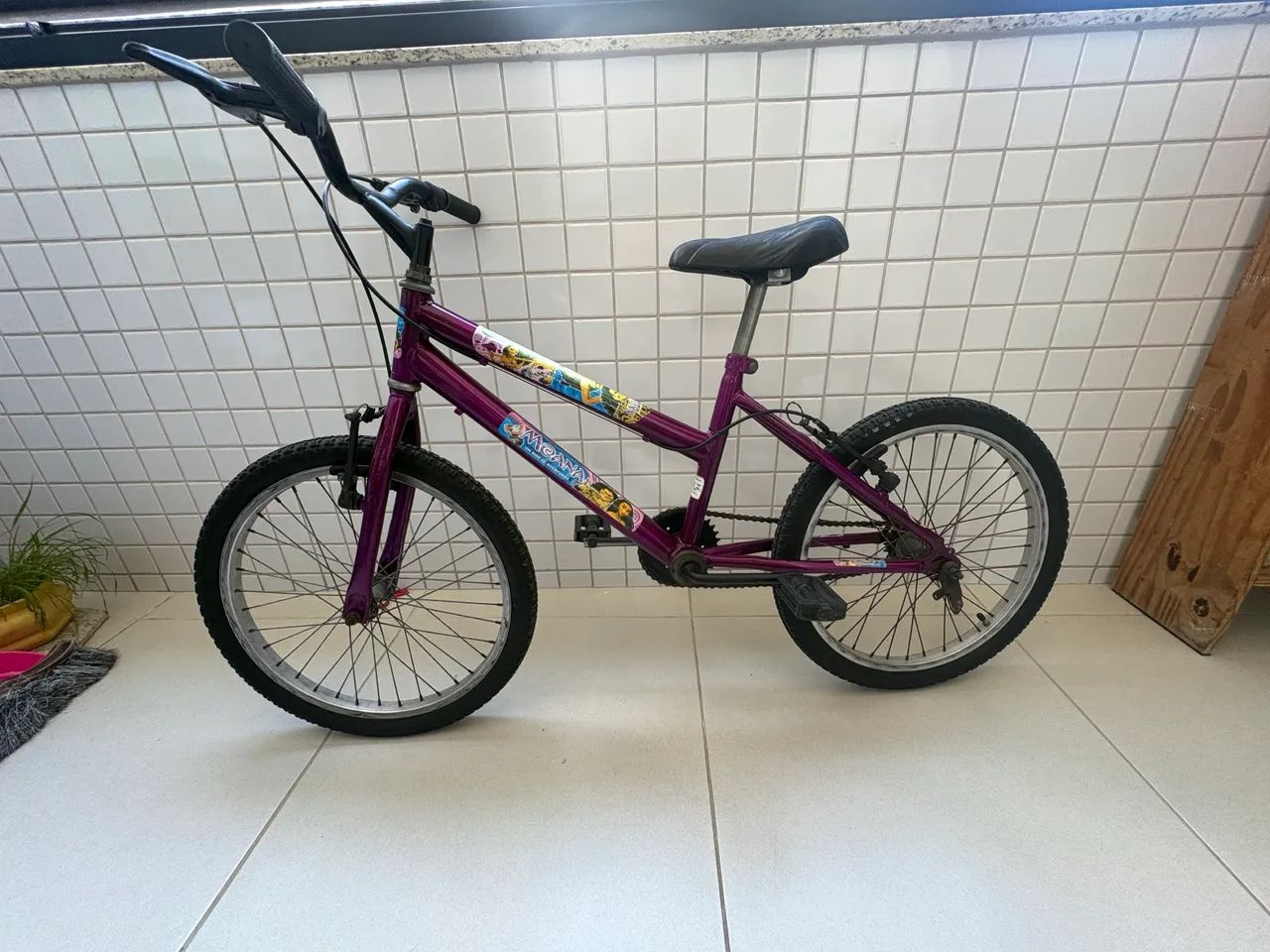 Bicicleta Aro 20