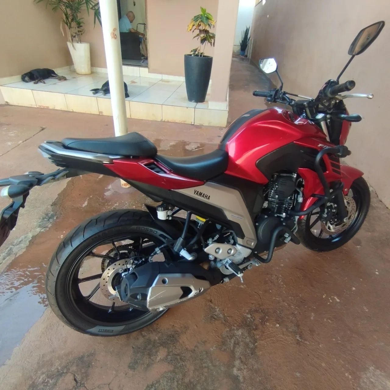Fz250 - Foto 3
