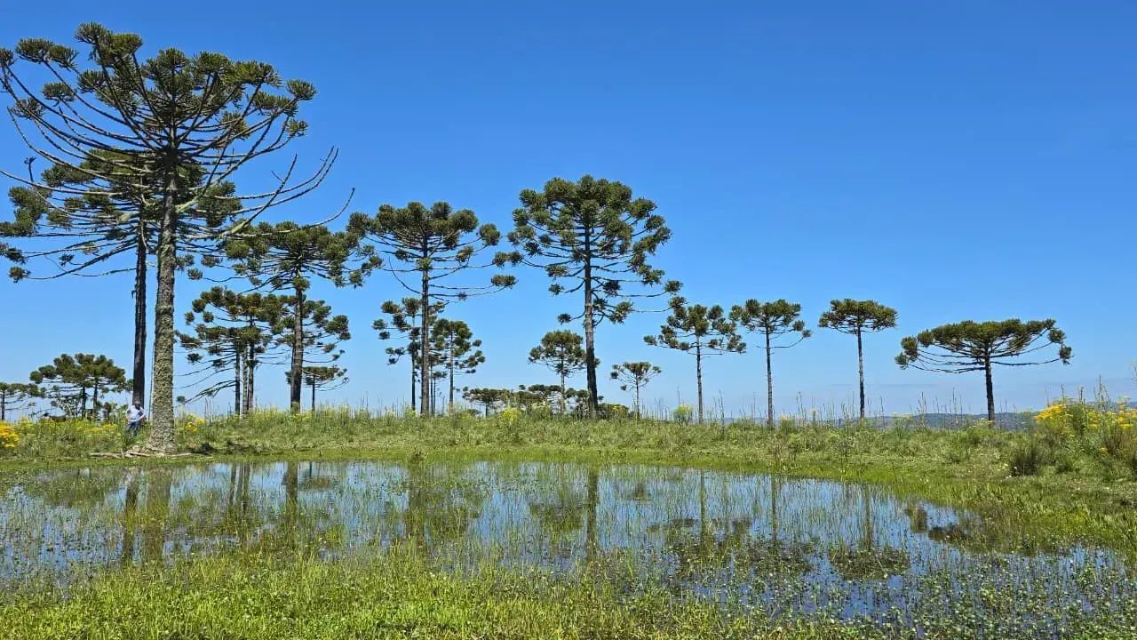 Terreno com 20 hectares em Urupema