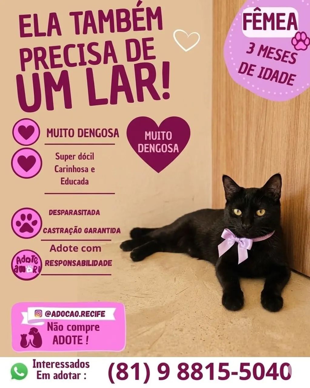 ADOÇÃO RESPONSÁVEL  - Foto 5