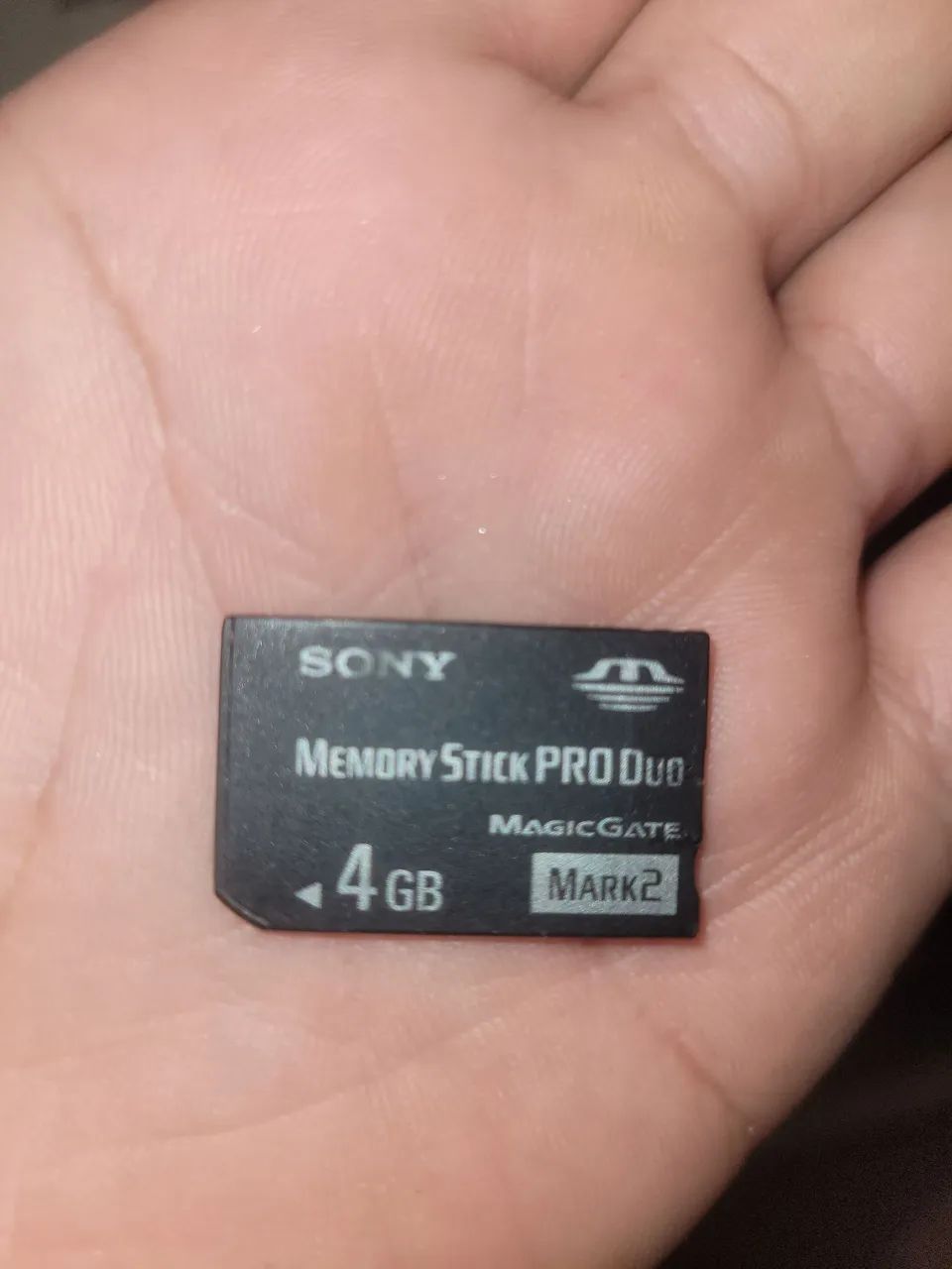 Memory Stick PRO Duo