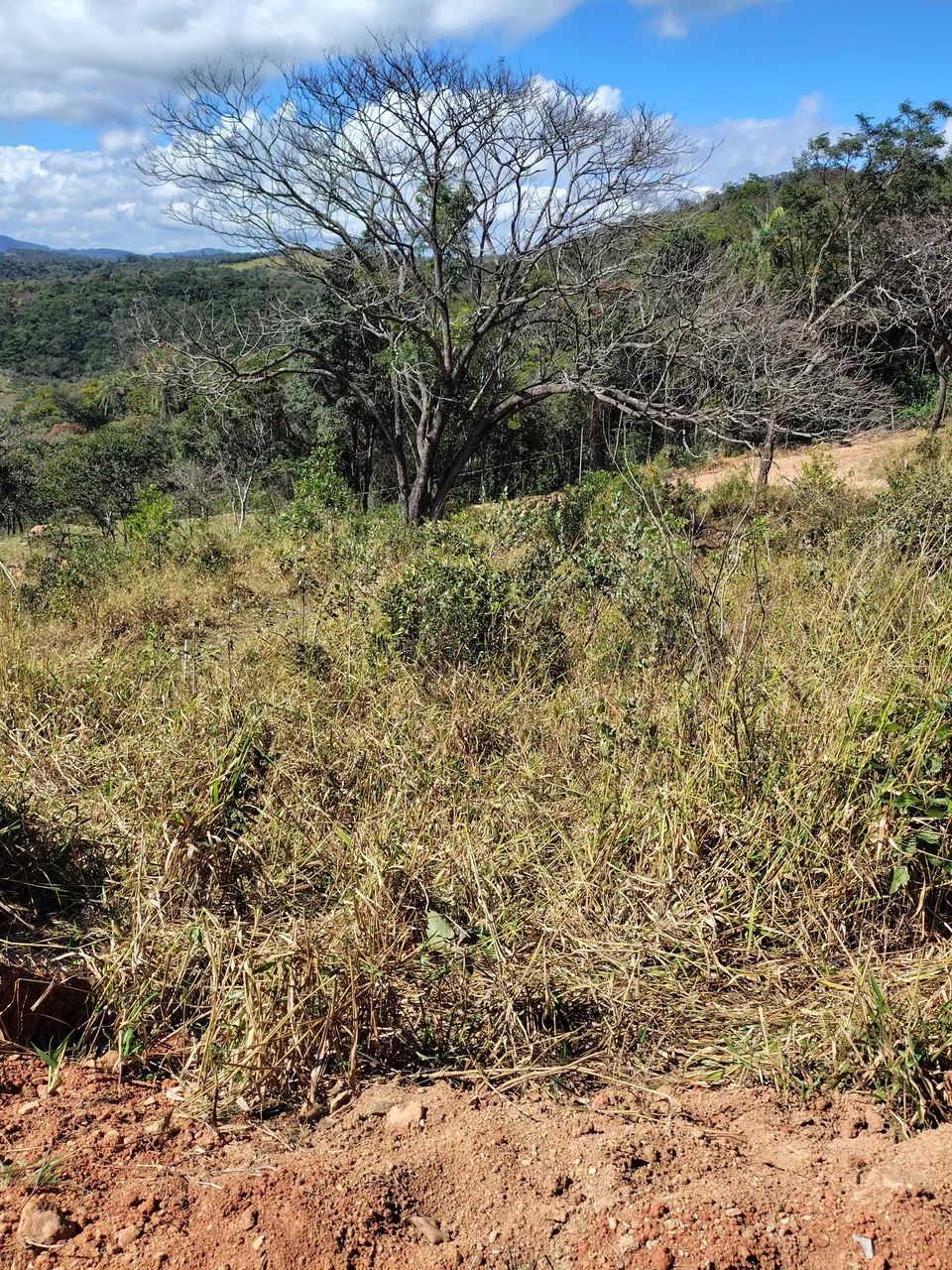 Chácaras em Taquaraçu de Minas  - Foto 2