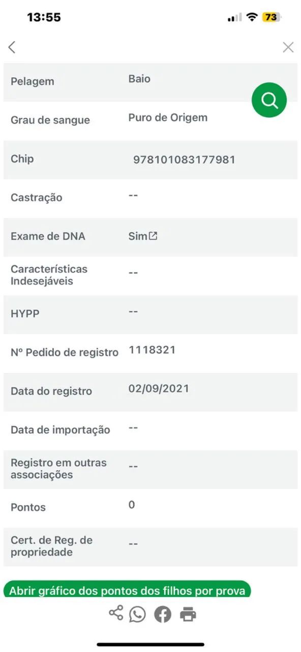 Vendo égua quanto de milha de direita - Foto 4