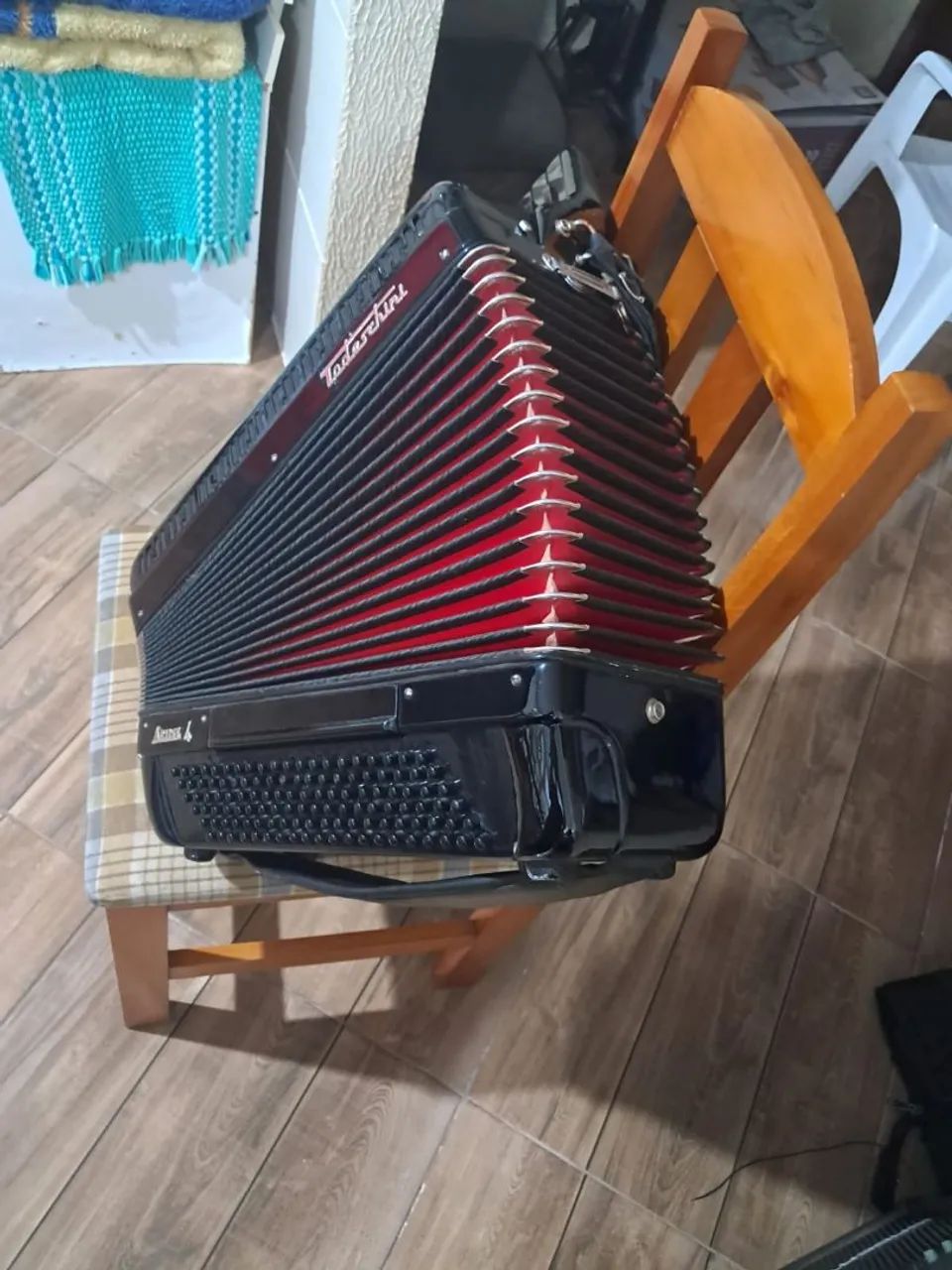 Acordeon todeschini artist 4 - Foto 4