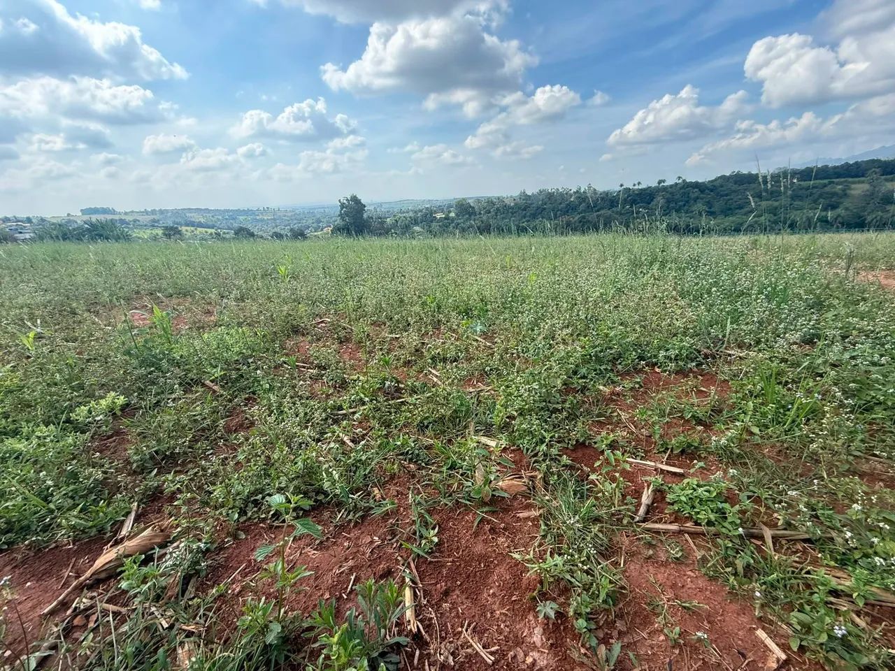 Terreno 100 %plano em mateus leme  - Foto 5