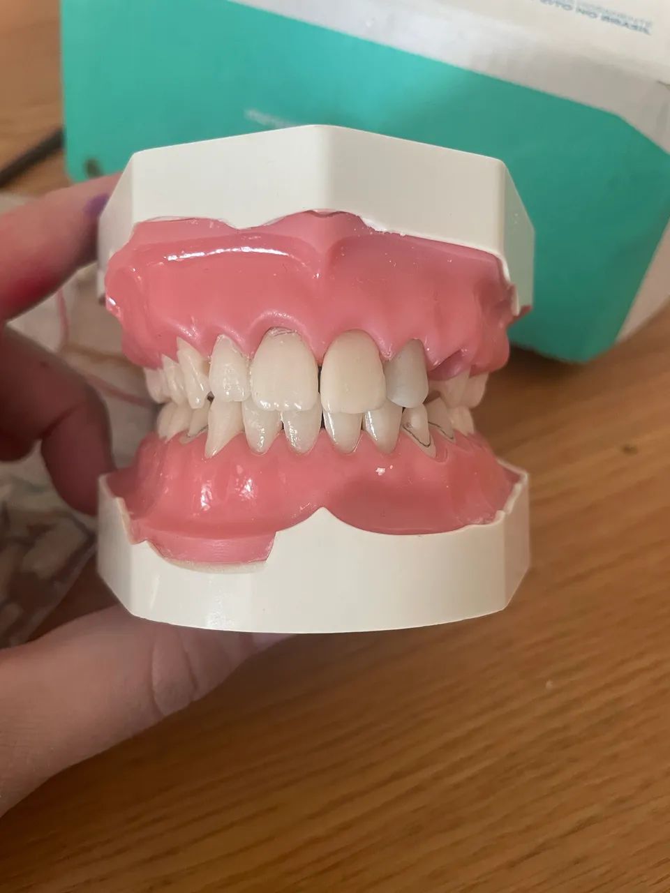 Manequim articulado P oclusal  - Foto 3