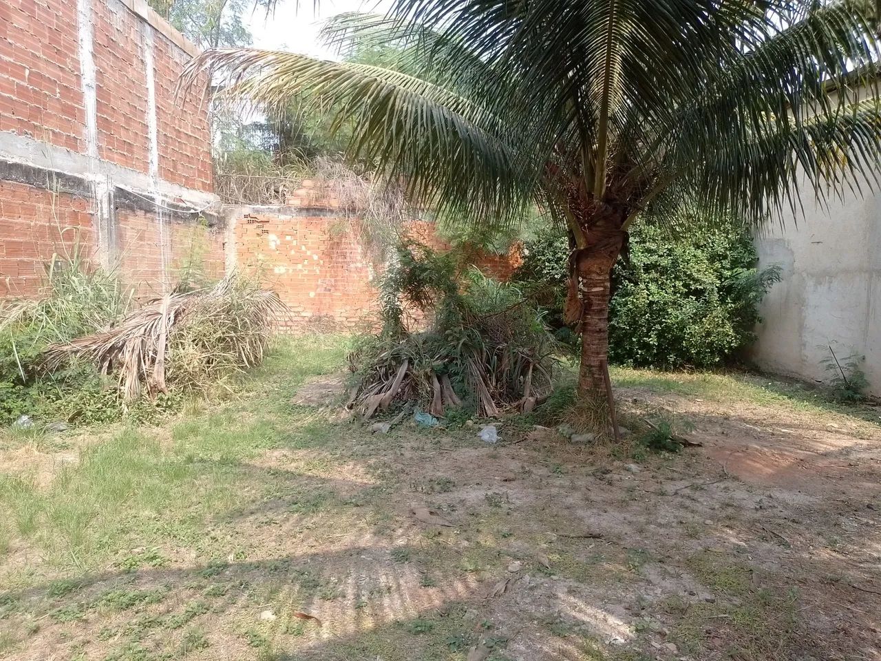 Imóvel área comercial espaço livre - Foto 5