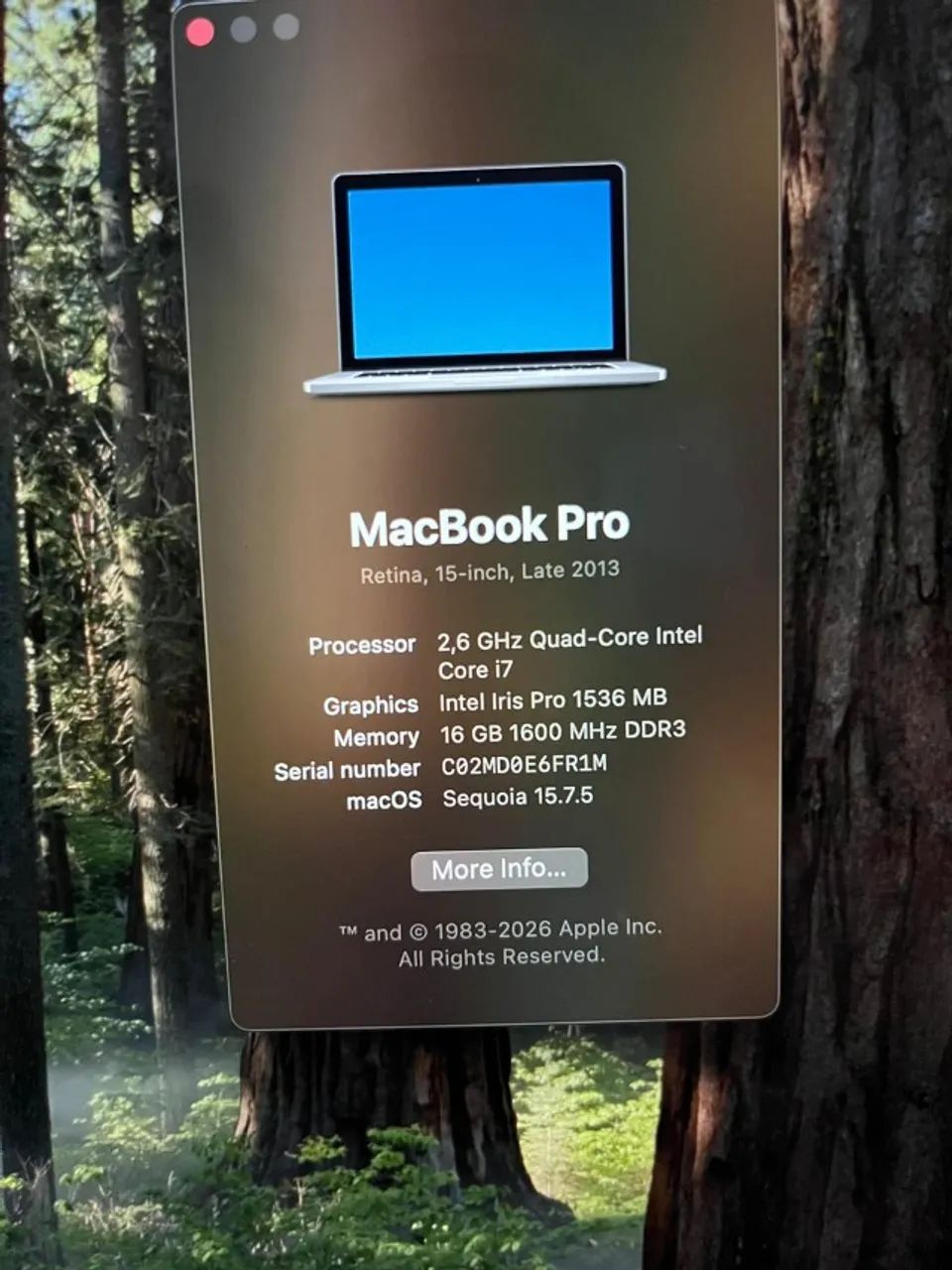 Macbook Pro 2013432208697885337601