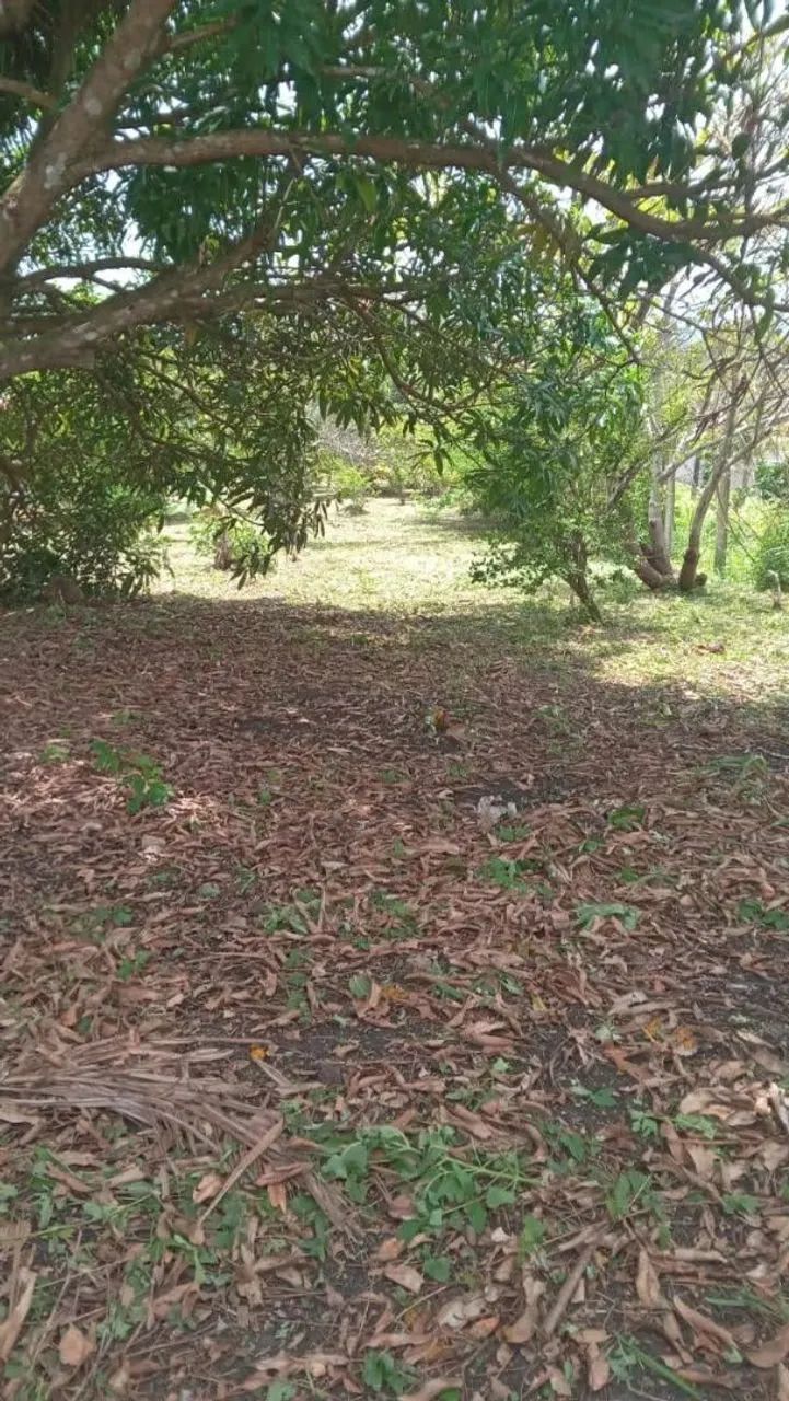 Vendo terreno 
