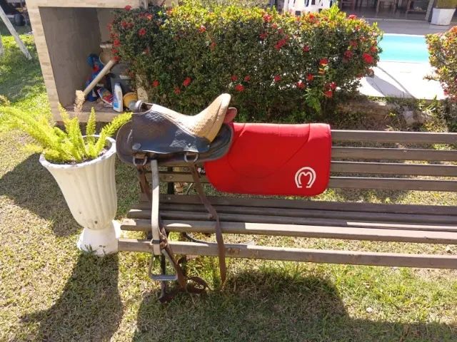 Vende-se um cavalo com sela