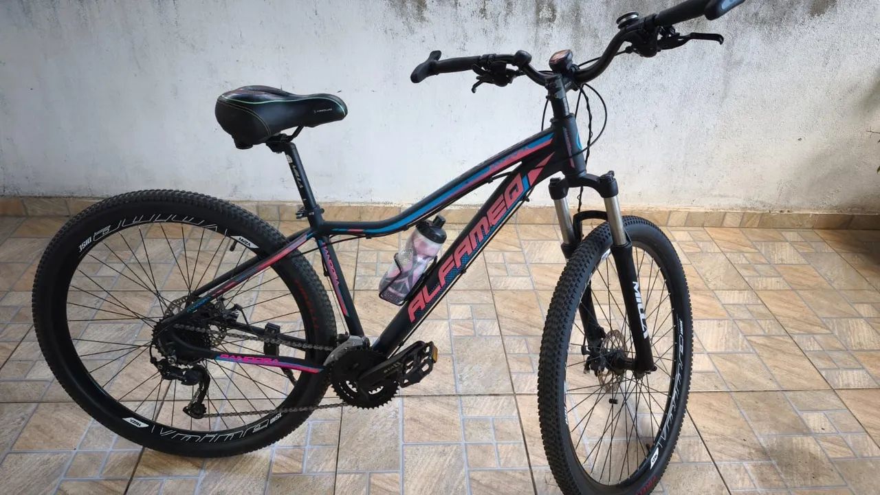 Mountain Bike aro 29
