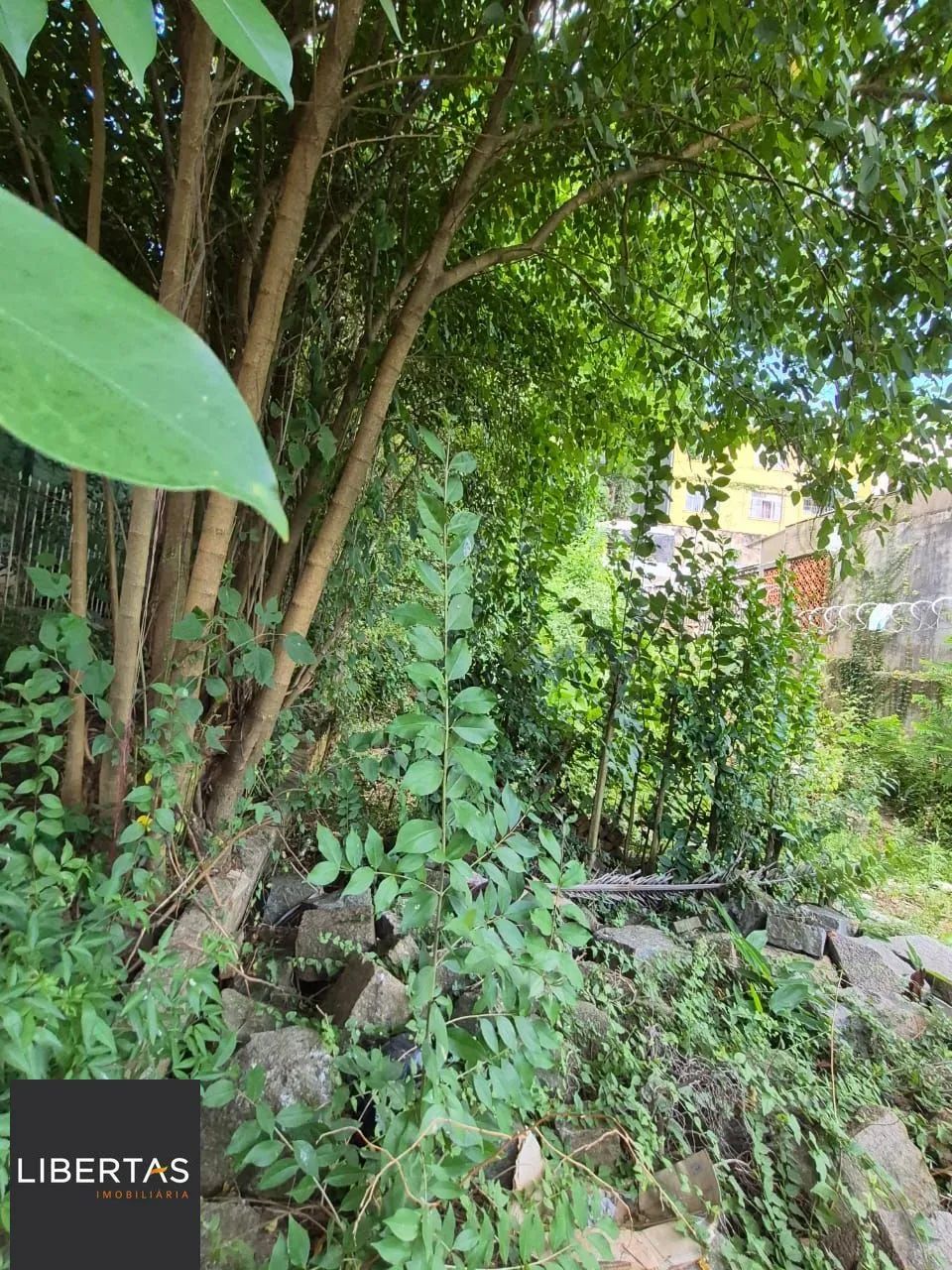 EXCELENTE OPORTUNIDADE DE TERRENO  LOCALIZAÇÃO ESTRATÉGICA! - Foto 10