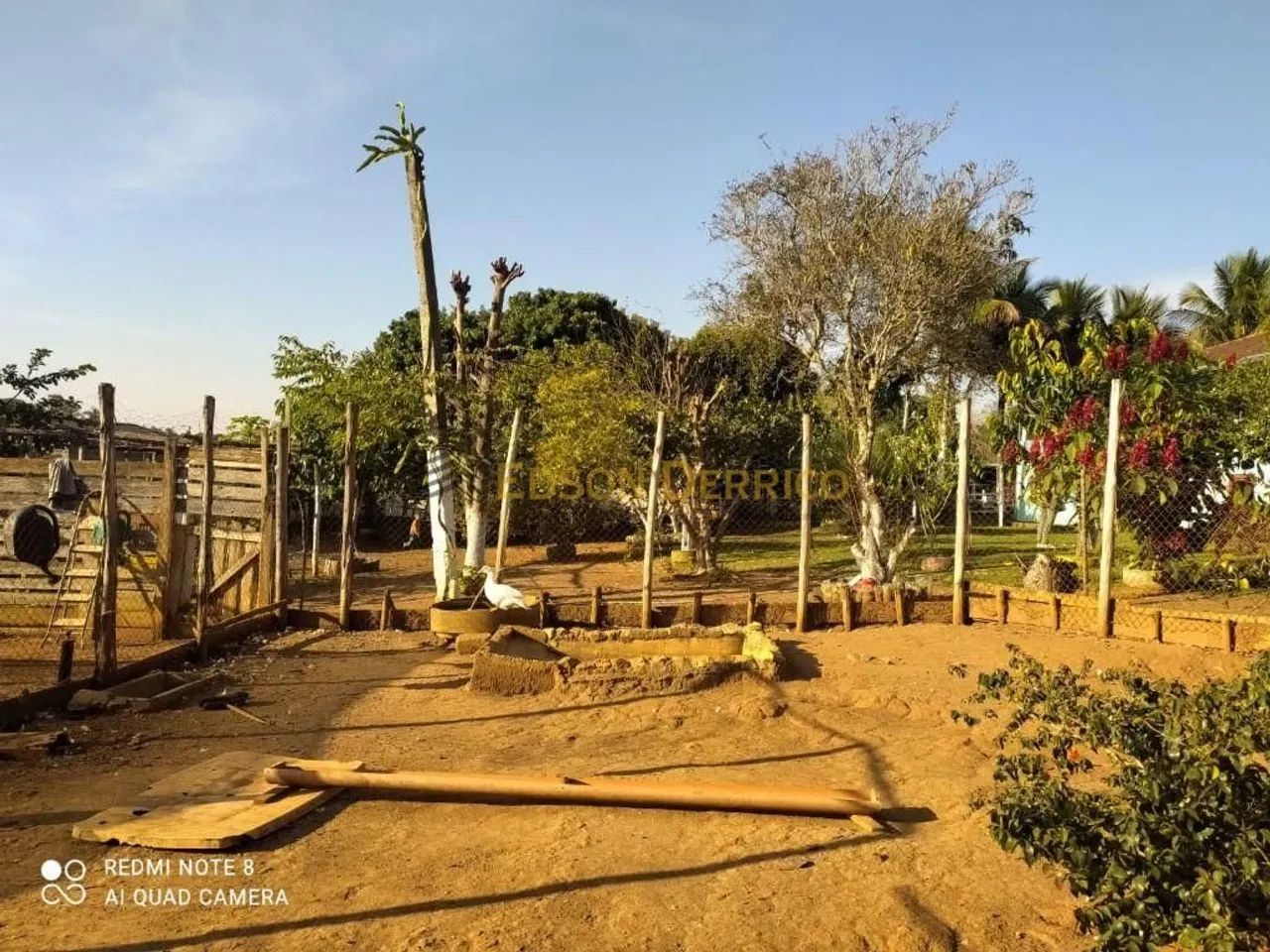 Chácara com 3 Quartos à Venda, Goiabal - Pindamonhangaba - Foto 4