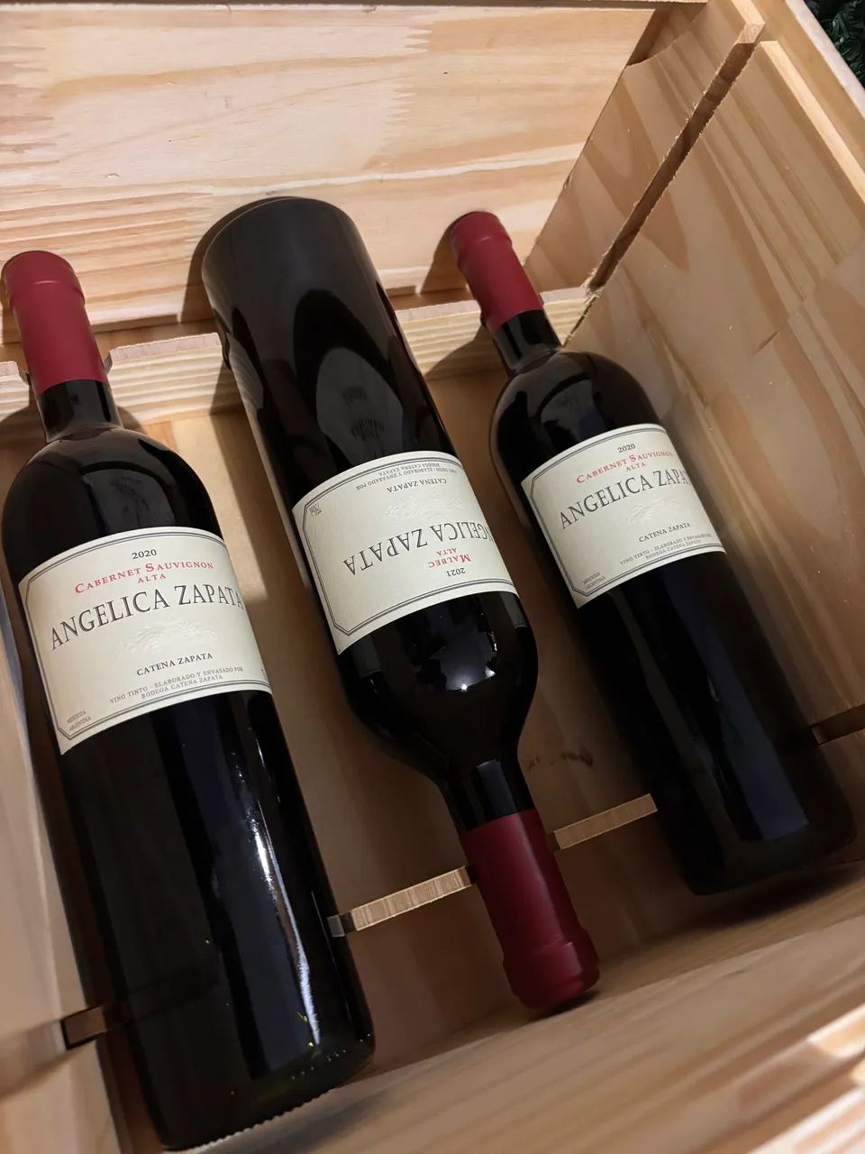 Vinho Angélica Zapata Malbec 2021 - Foto 2