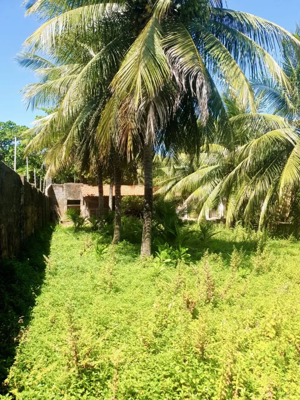 Lote à venda em rua pública, BARRA MAR, Barra de São Miguel, AL - Foto 4
