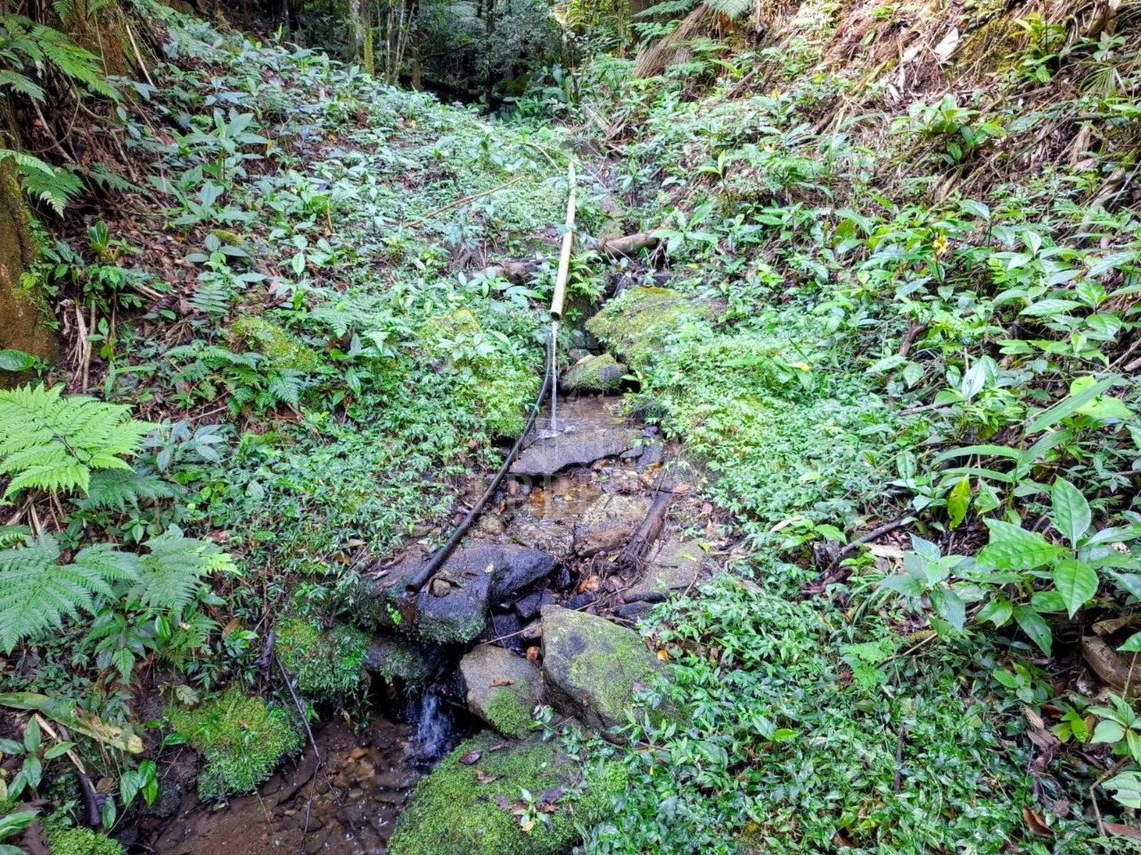 SITIO RURAL em JUQUITIBA - SP, Centro - Foto 2