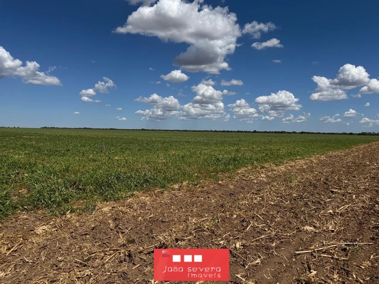 Fazenda para Venda em Campos Lindos - Foto 4