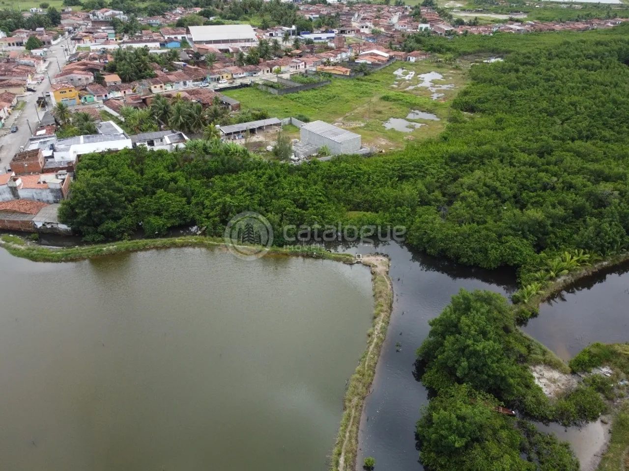 Canguaretama 500 Hectares - Foto 2