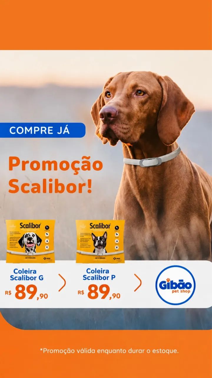COLEIRA SCALIBOR