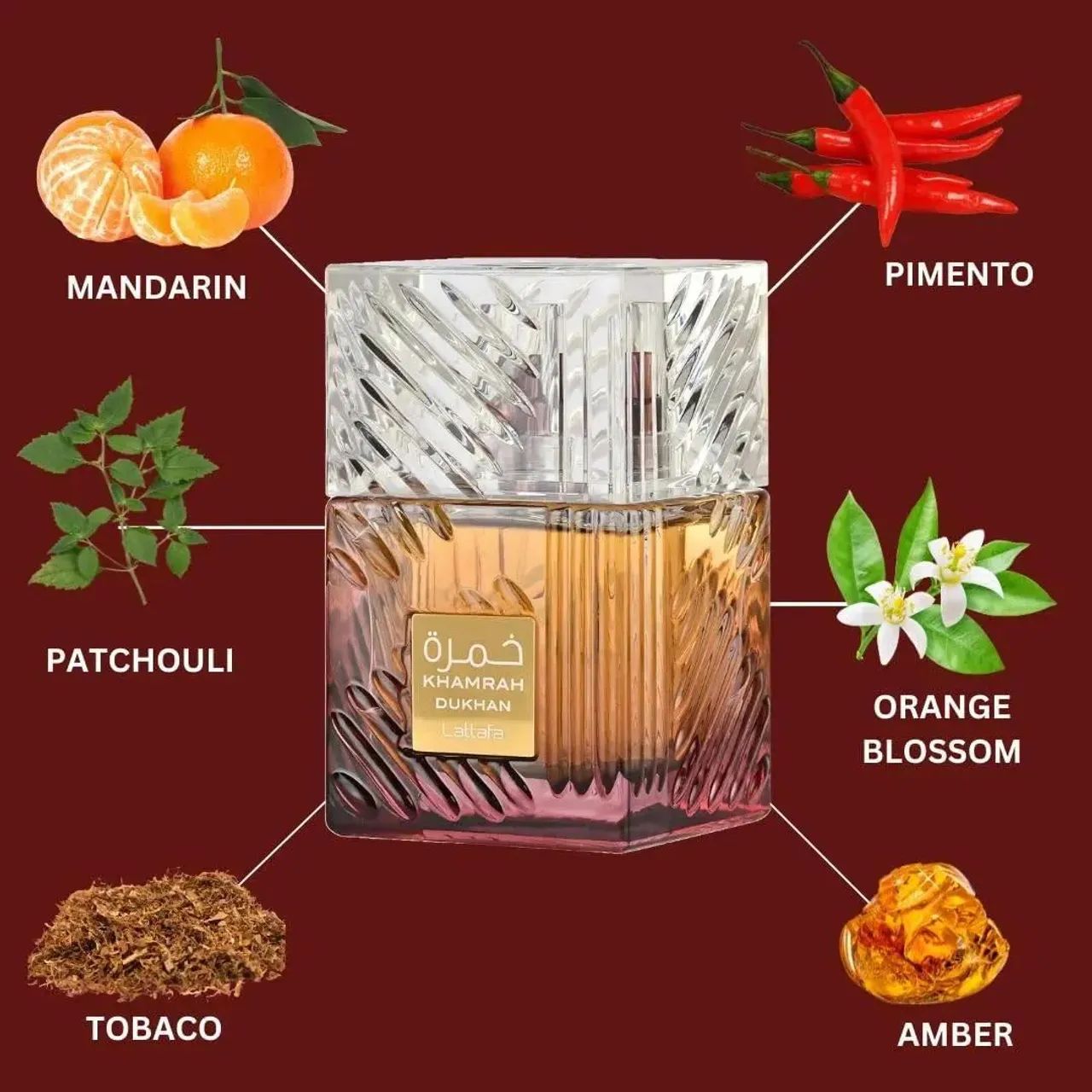 Os melhores perfumes do momento  - Foto 3