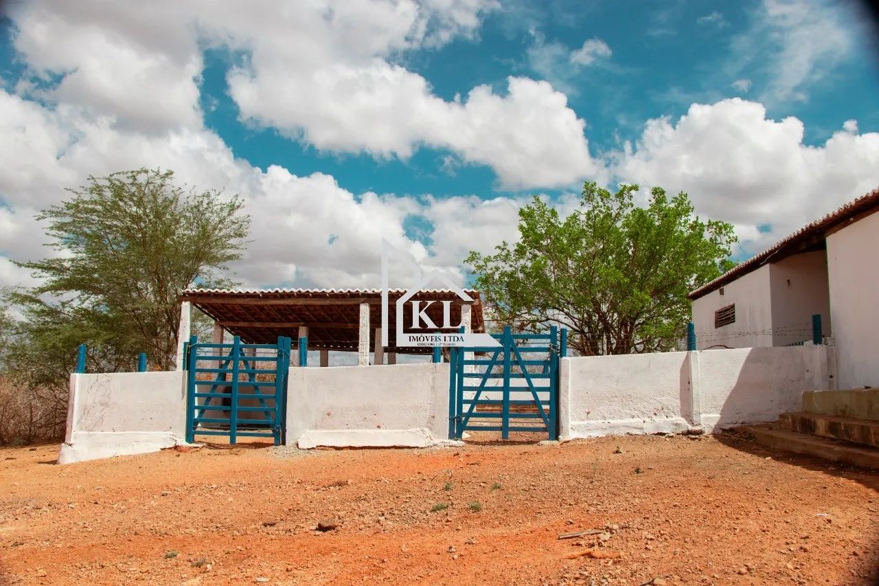 Fazenda de 120 Hectares com Abundância de Água - Oportunidade para Investimento ou Lazer - Foto 8