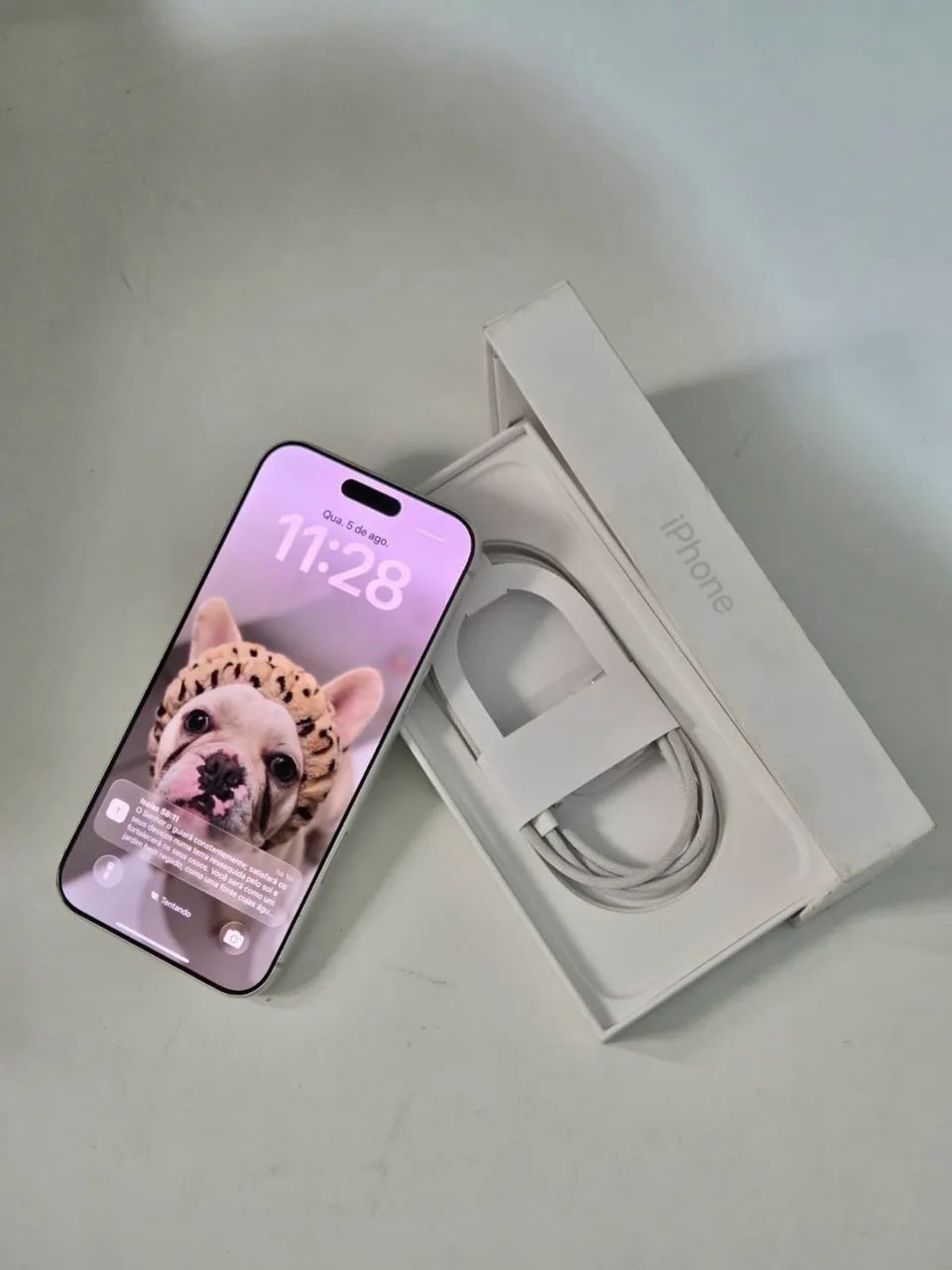 iPhone 17 Pro Max 256 gb em 10x sem juros 