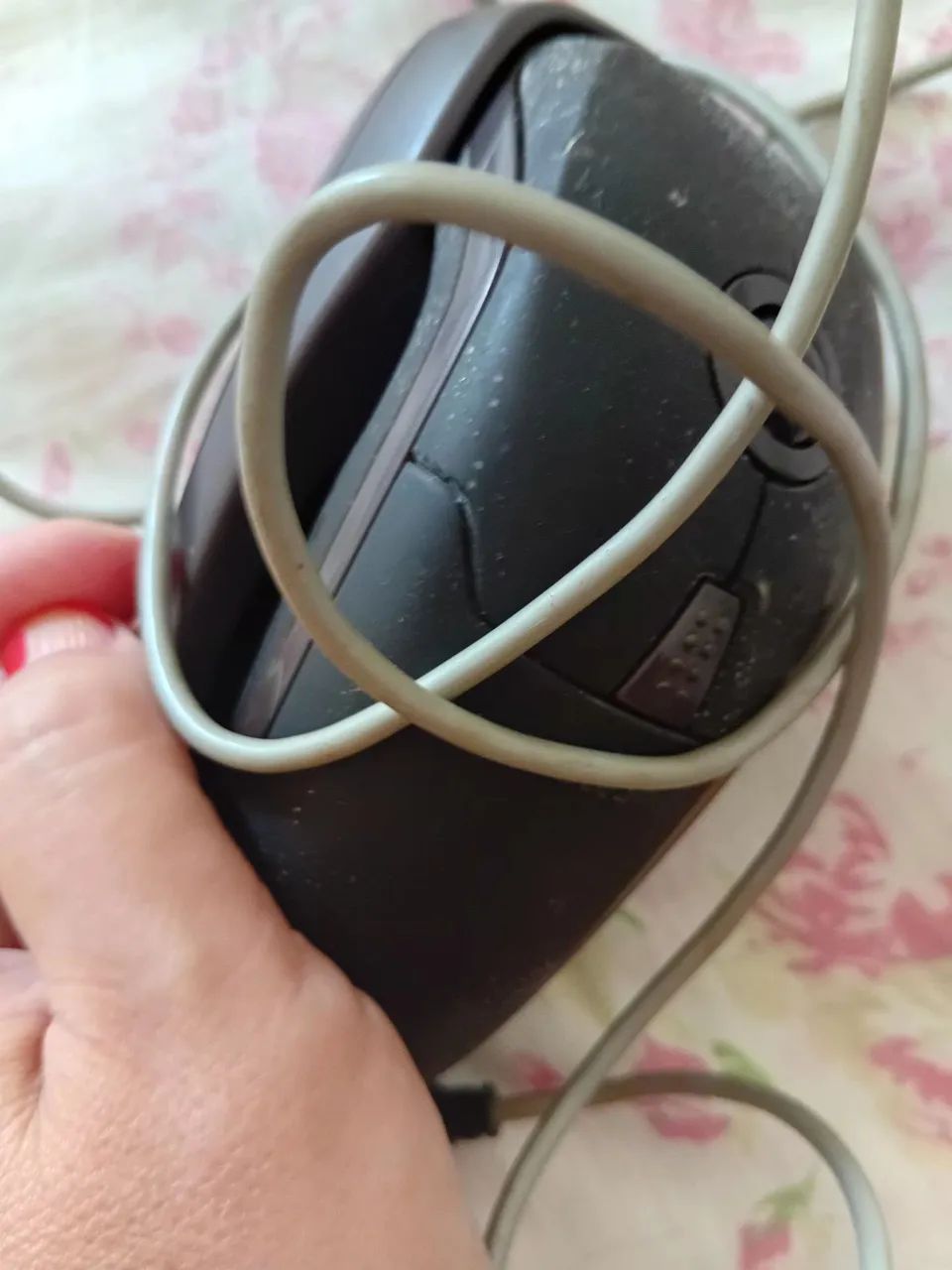 Mouse 