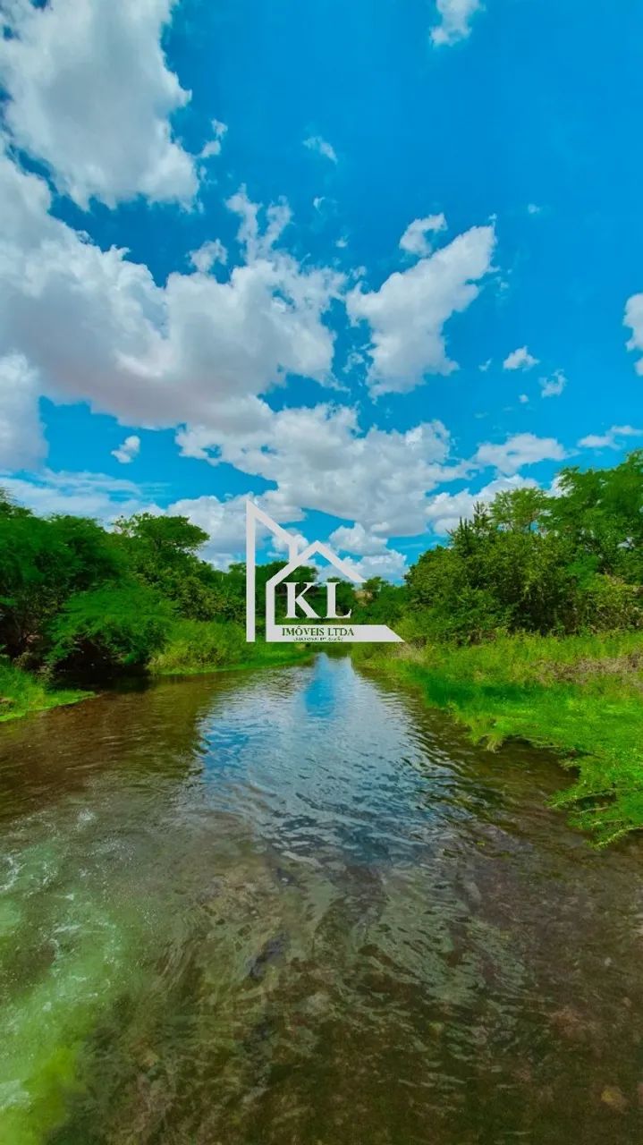 Fazenda de 120 Hectares com Abundância de Água - Oportunidade para Investimento ou Lazer - Foto 2