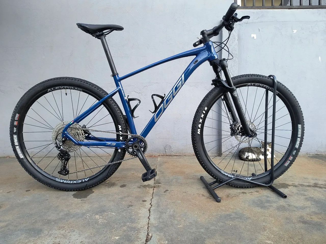 Bike Oggi 7.3