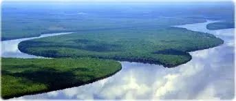 AMAZONAS: Área a venda de 50 mil hectares, com a documentação completa. - Foto 4