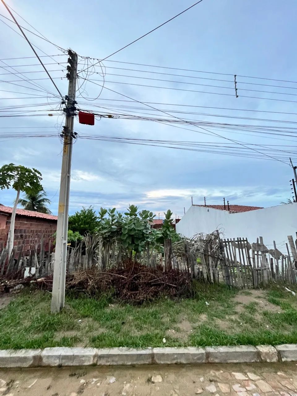 Foto - Petrolina - Dom Avelar