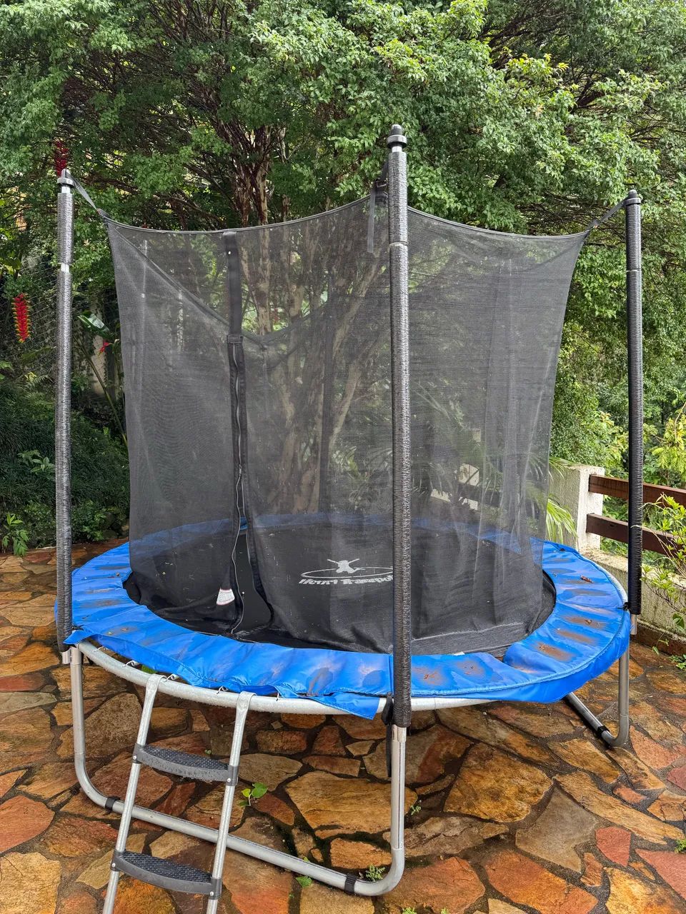 Cama Elástica Pula Pula 2,44m 