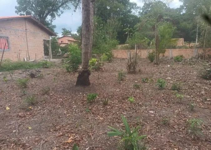VENDO UM TERRENO BEM LOCALIZADO - Foto 2
